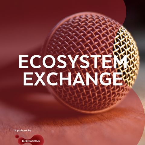 Copertina del podcast