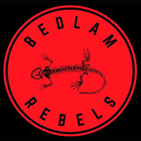 Local Spotlight Artist - Bedlam Rebels Interview With Marty
