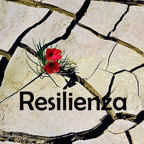 La resilienza di Sara Colonnelli
