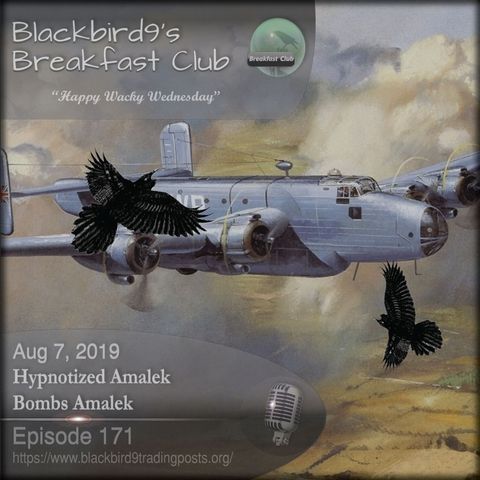 Hypnotized Amalek Bombs Amalek - Blackbird9 Podcast
