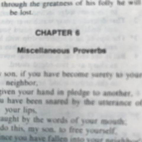 Chapter 6. Introduction: Miscellaneous Proverbs