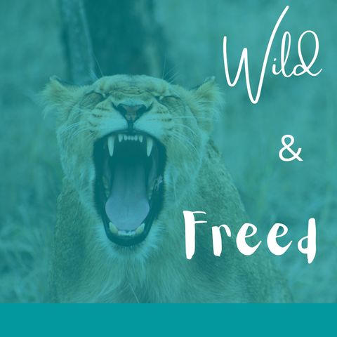 Wild & Freed - Complaining Vs. Gratitude