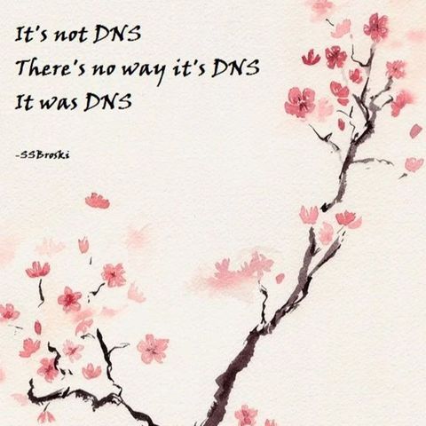 322: It Was DNS