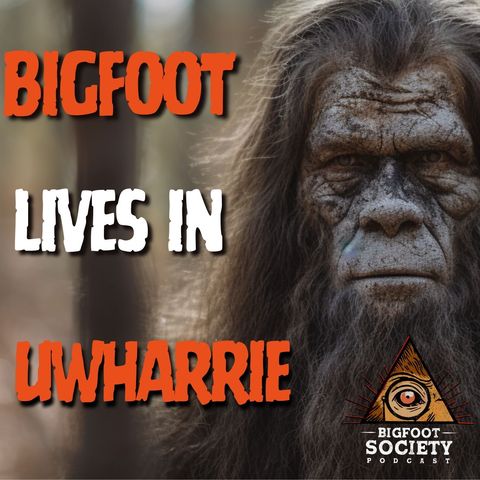 Bigfoot Is Attacking My House / Uwharrie Forest, North Carolina