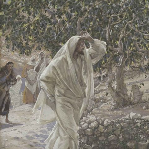 Friday of the Eighth Week in Ordinary Time - A Rebuke by Jesus