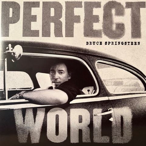 #65: Bruce Tracks – Perfect World
