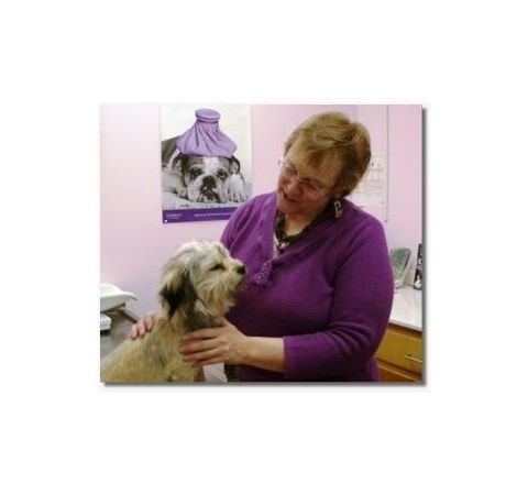 MBSFood: Holistic Health Care for Pets with Dr. Rebecca Verna