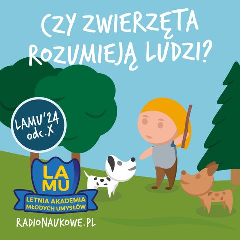 LAMU'24 #10 Czy psy z różnych krajów mogą się dogadać? Jakie zwierzę jest najbardziej jadowite na świecie?