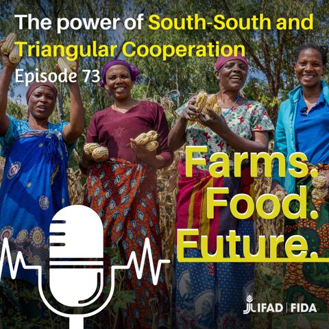 The power of South-South and Triangular Cooperation