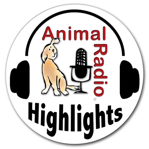 Animal Radio Finale - A Celebration of Two Decades