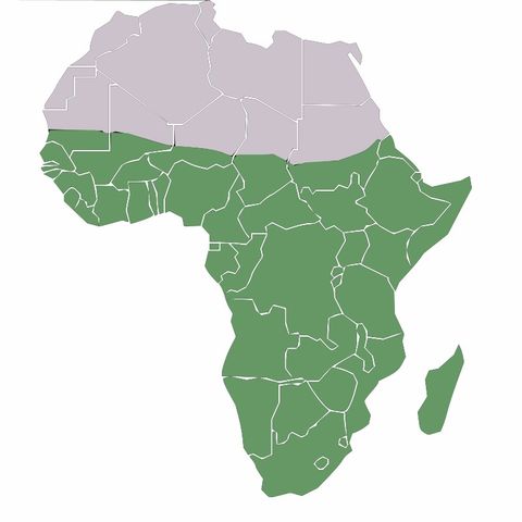 Afrika Forever.