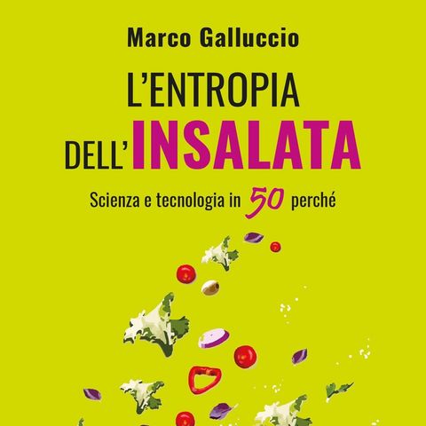 Marco Galluccio "L'entropia dell'insalata"