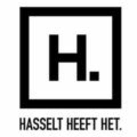 De Openbare Geheimen van Hasselt, een stadswandeling