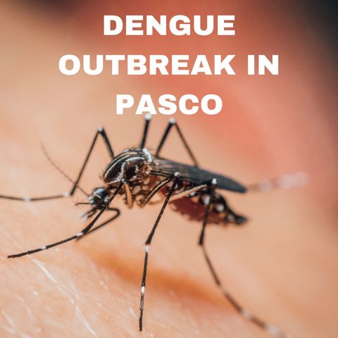 Adriane Rogers - Pasco Mosquito District - Dengue Outbreak