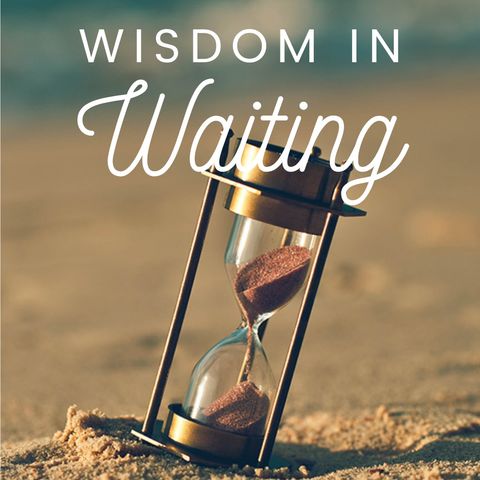 Wisdom in Waiting Guide