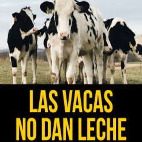 04 - 01 T Las vacas NO dan LECHE