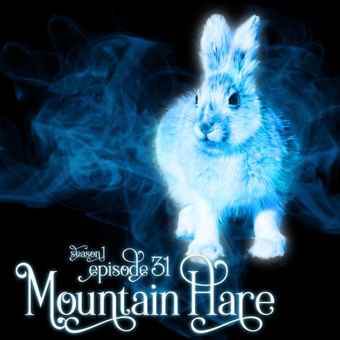 S1E31: Mountain Hare