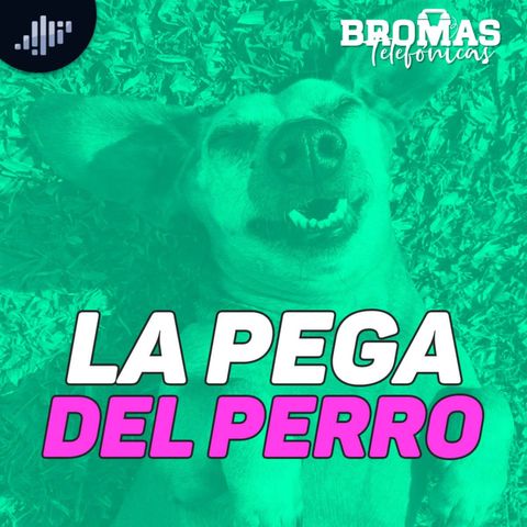 La pega del perro