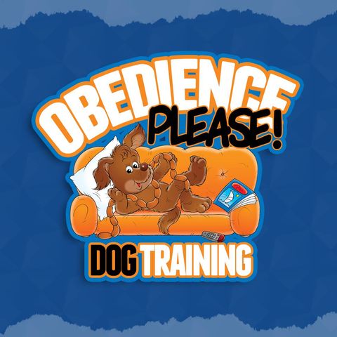 How Dog Training Benefits You & Your Pet