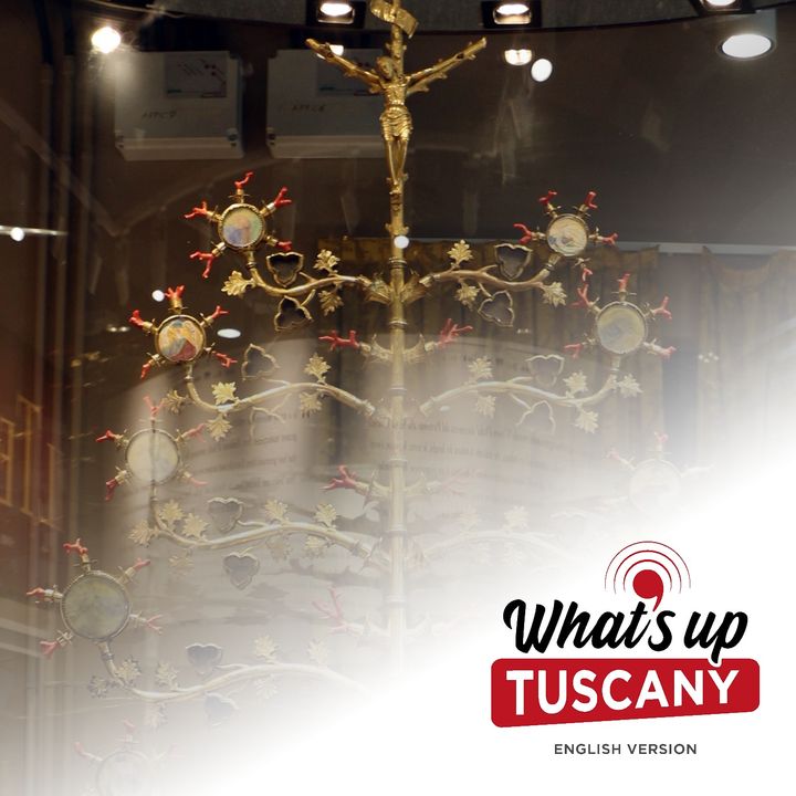 Lucignano and its amazing golden tree - Ep. 155