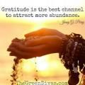 Abundance and Choices: Harvesting our Power with Leslie and Dr. Pat