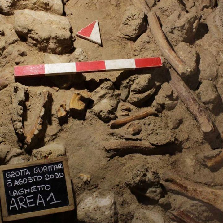 Uomo di Neanderthal, le nuove incredibili scoperte in Italia