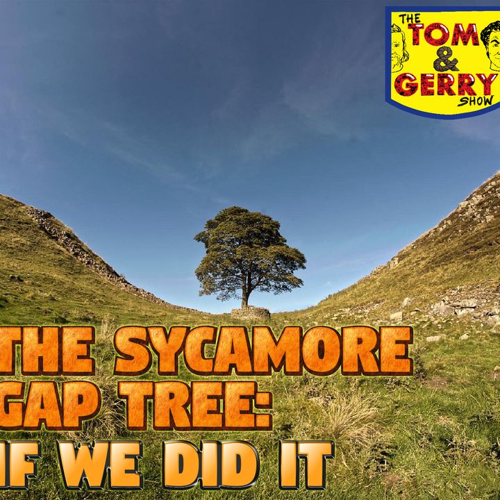 THE SYCAMORE GAP TREE: IF WE DID IT