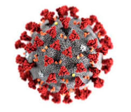 36 - Koronavirusas - naujasis maras?