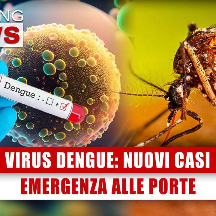 Virus Dengue, Nuovi Casi: Emergenza Alle Porte! 