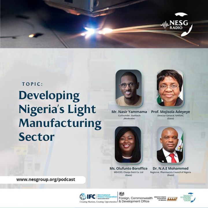 Developing Nigeria's Light Manufacturing Sector