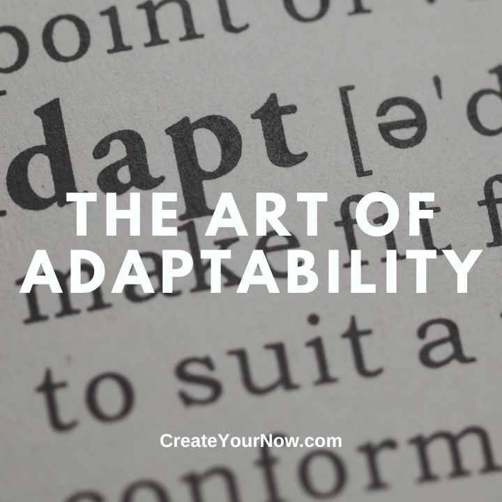 3165 The Art of Adaptability