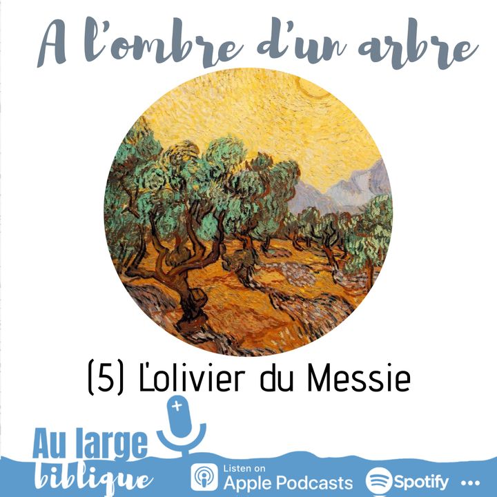 #176  A l'ombre d'un arbre (5) L'olivier du Messie (Za 4 - Rm 11)
