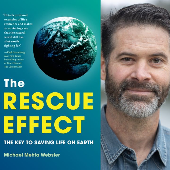 Michael Mehta Webster - The Rescue Effect