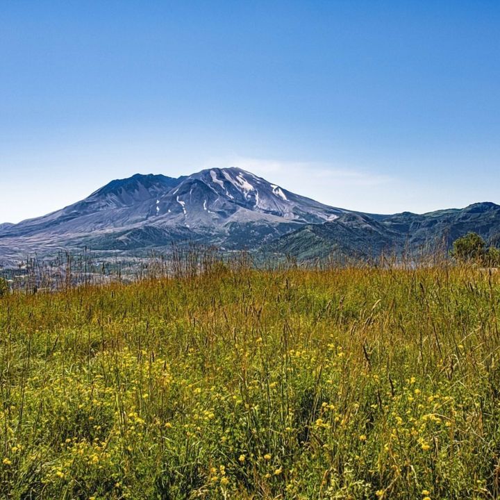 Mount Saint Helens: Recovery
