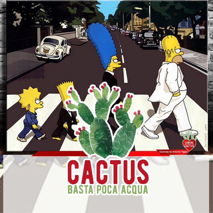 Cactus #16 - La toponomastica del mondo - 14/01/2021