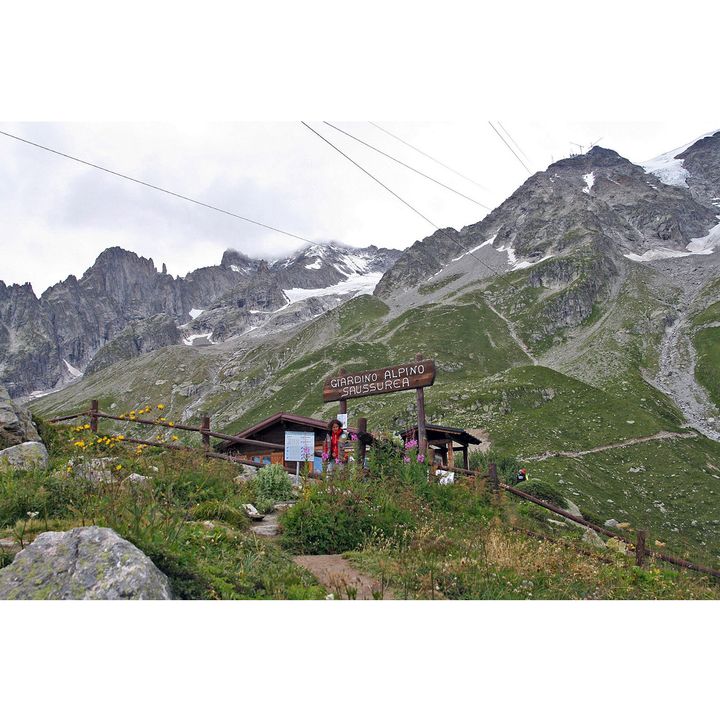 Giardino Alpino Saussurea a Courmayer (Valle d’Aosta)