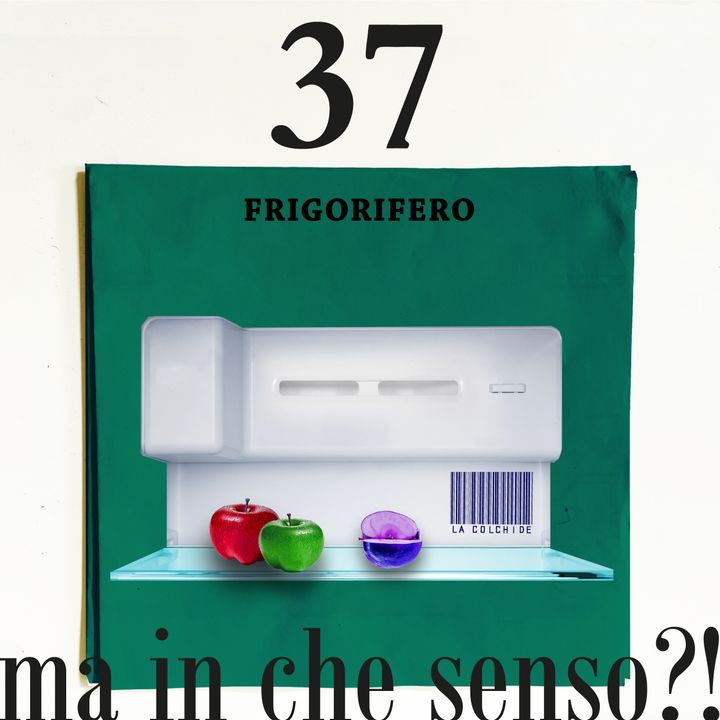 37. Frigorifero