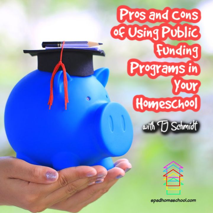 Pros and Cons of Using Public Funding Programs to Homeschool
