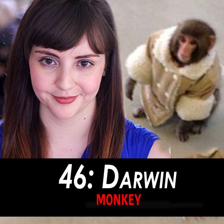 46 - Darwin the Monkey