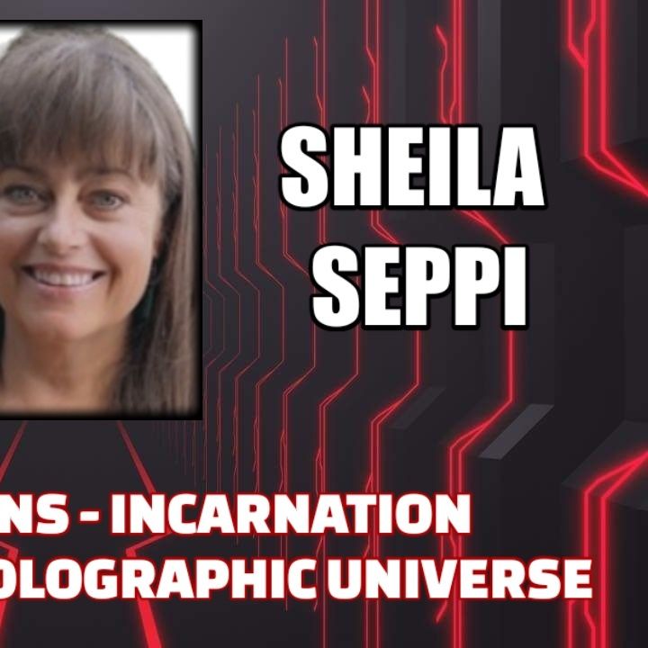 Soul Walk-Ins - Incarnation Agreements - Holographic Universe w/ Sheila Seppi