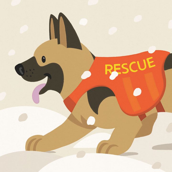 Psy ratownicze, terapeutyczne i przewodnicy – bohaterowie na czterech łapach
