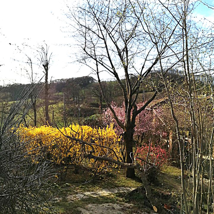 Giardino Botanico ‘Caplez’ in Alta Val Tidone (Emilia Romagna)