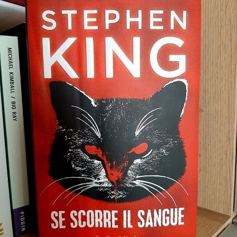 Arriva in Italia 'Se scorre il sangue' di Stephen King - Libri