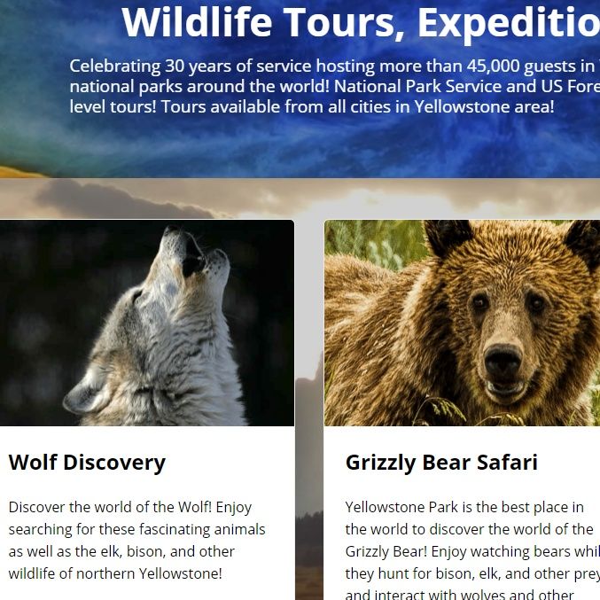 The Buzz - Ep. 25 New Yellowstone Yearround Website!