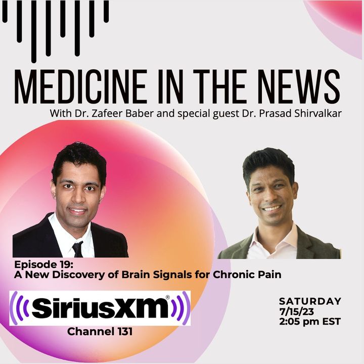 A New Discovery of Brain Signals for Chronic Pain with Dr. Prasad Shirvalkar.