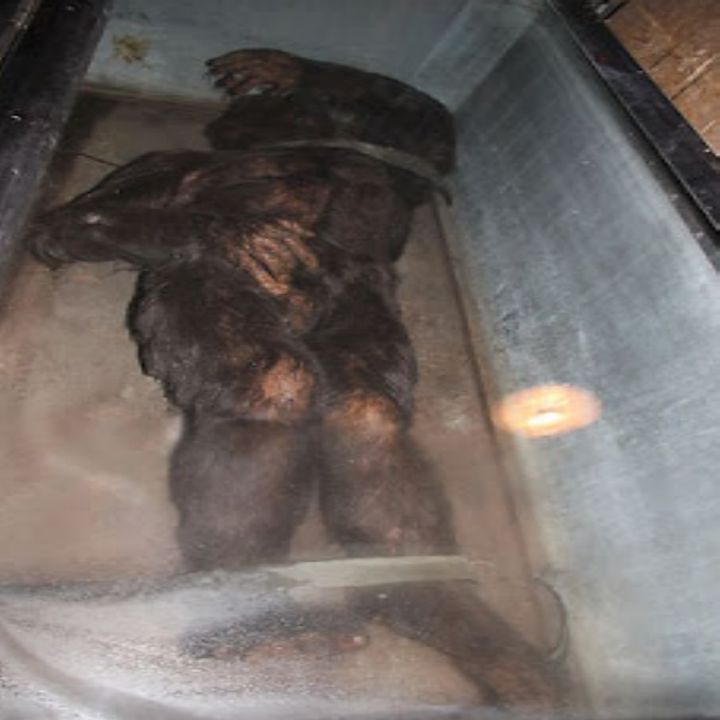 The Minnesota iceman, real frozen BIGFOOT body or a hoax?