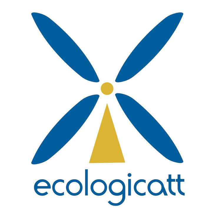 EcologiCATT - Green is the New Black