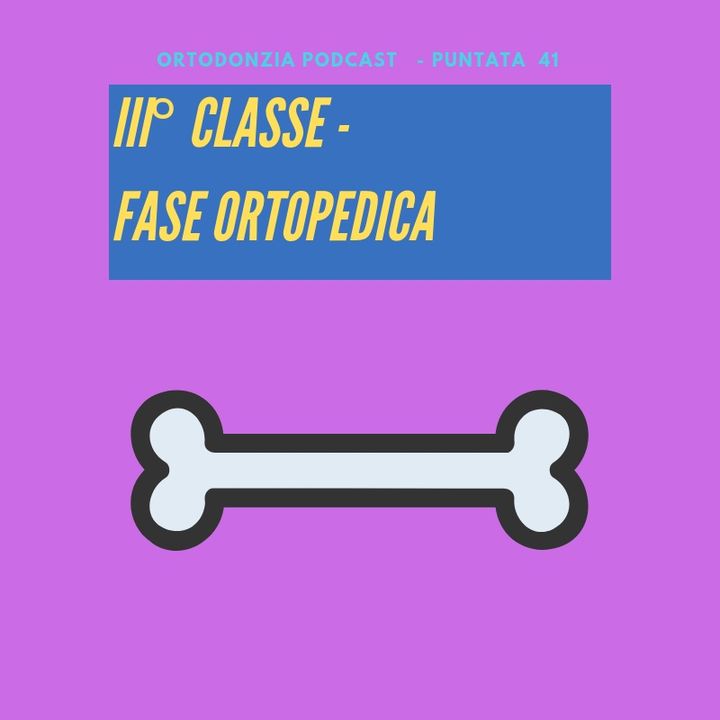 III Classe - fase ortopedica ad ancoraggio scheletrico