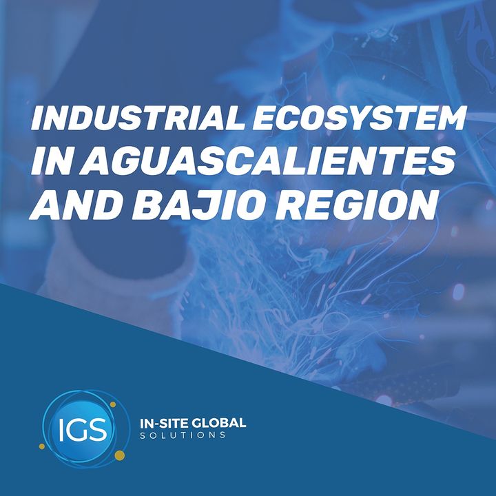 Industrial Ecosystem in Aguascalientes and Bajio Region | IGS