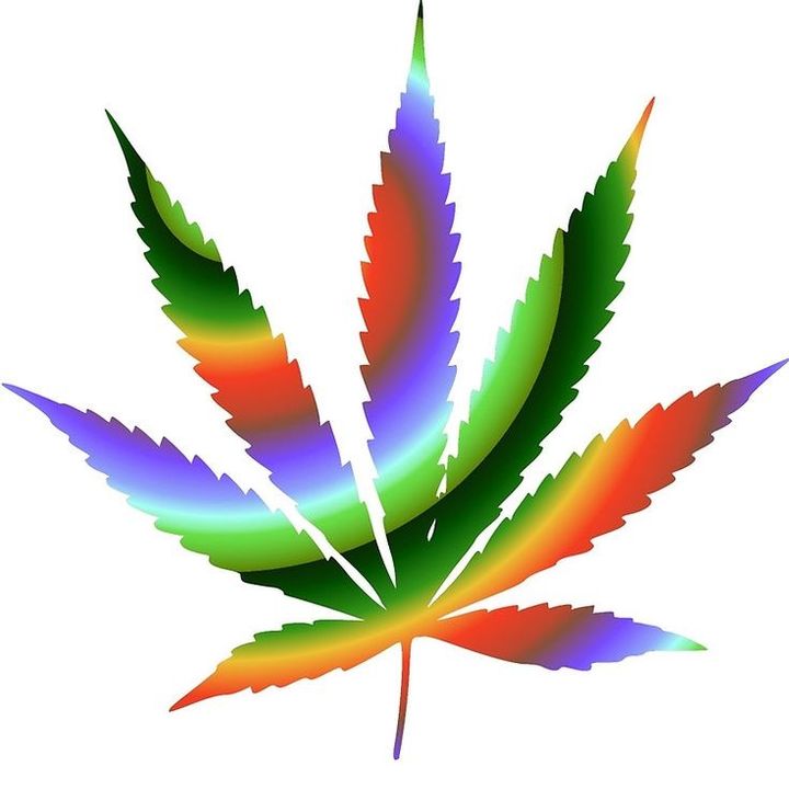 Cannabis y la Marihuana, laotra